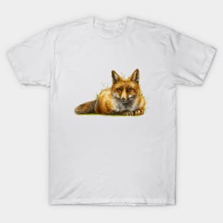 Chilling fox illustration T-Shirt